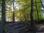 Springendal
